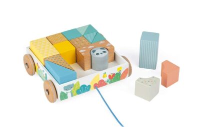 CARRINHO DE BLOCOS 16 PECAS