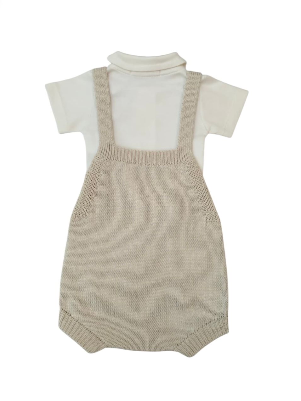 Pimpão Tartaruga - Imagem 2