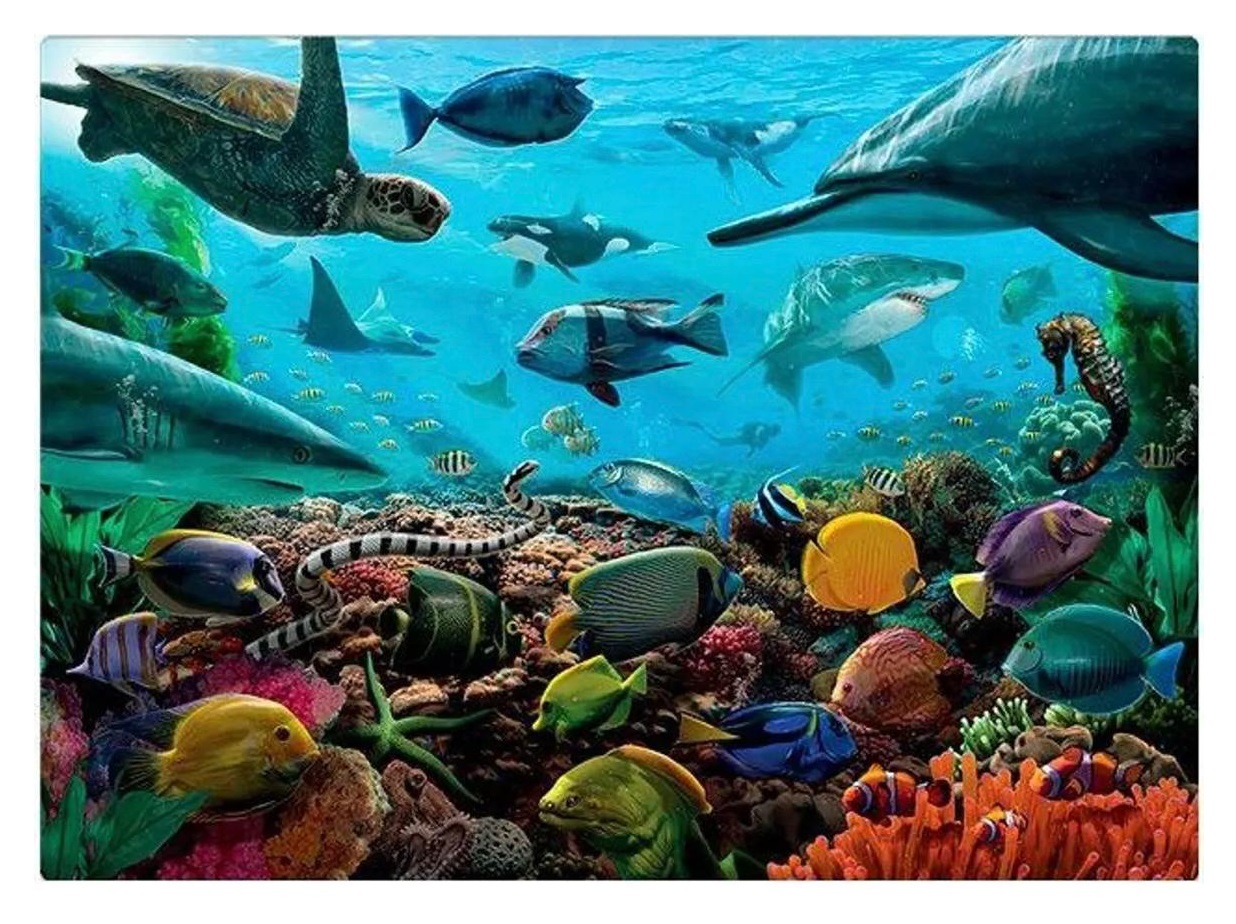 Q-C Criaturas Marinhas - Imagem 2