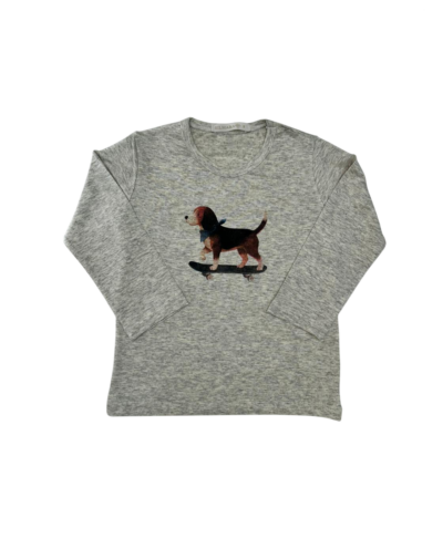 Camiseta Raglan Cachorro