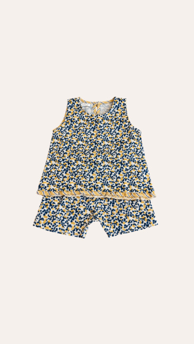 Conjunto Limão Siciliano